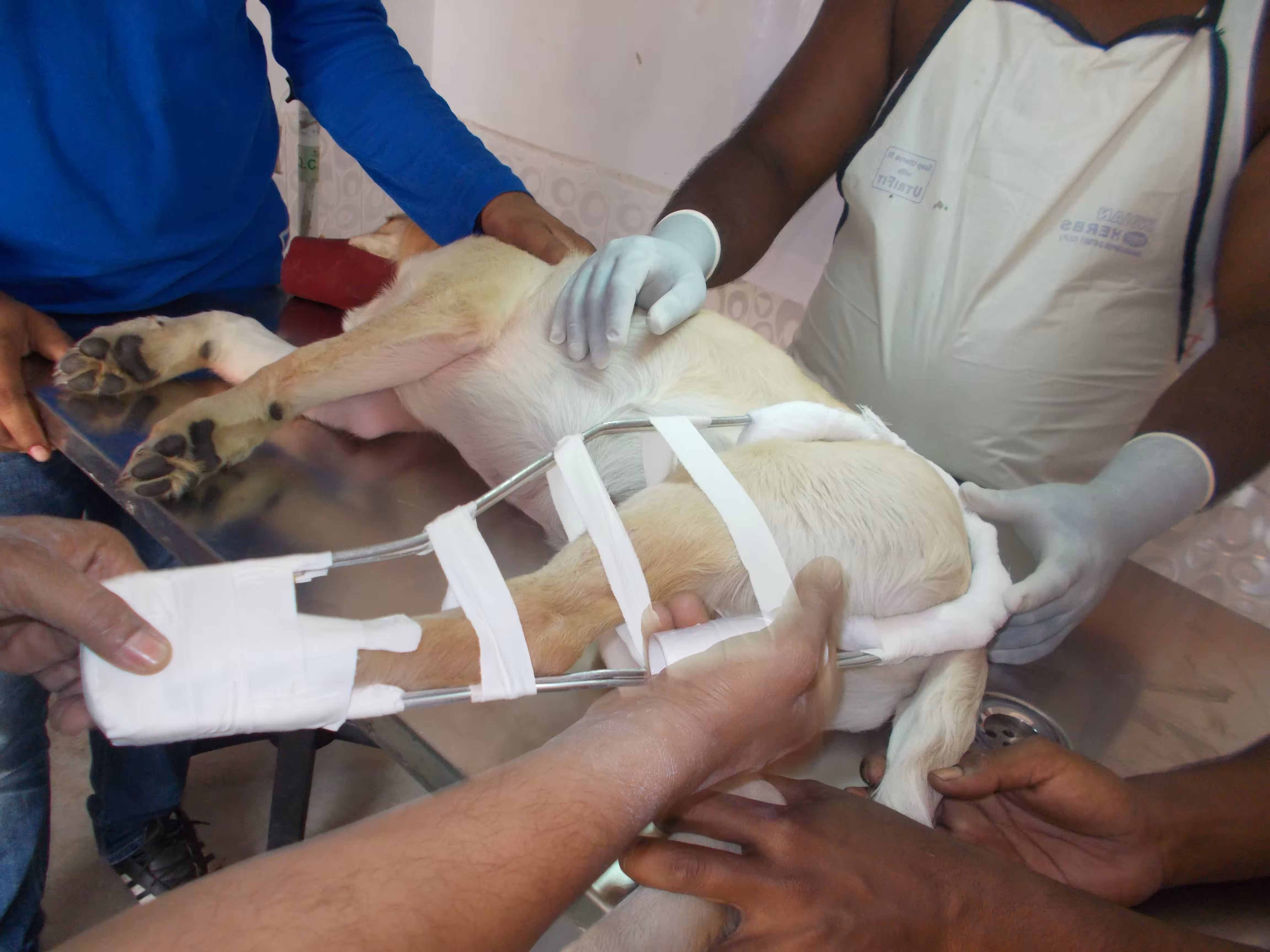 Treatement & Education